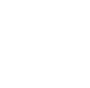 kps-icon